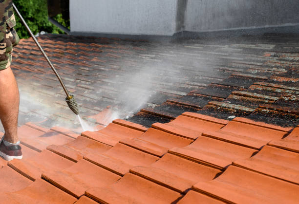 Local Pressure Washing Services in Lloyd Harbor, NY
