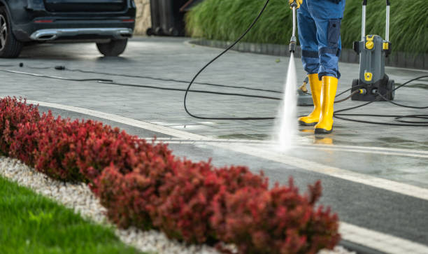 Best Pressure Washing Siding  in Lloyd Harbor, NY